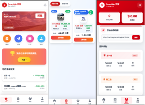 海外汽车电气投资理财源码/三级分销/可自定义产品