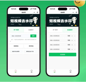 2026最新去水印小程序源码 v1.6.5 带流量主广告变现功能